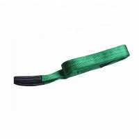 2T Polyester Webbing lifting sling